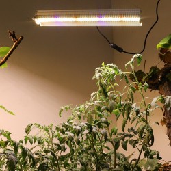 280W - 560 LED - plant grow light - full spectrum - phyto lampGrow Lights