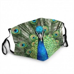 Green peacock - adult face mask - non-disposable - washable - dust proof / anti-virus