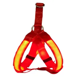 Harnais pour chien - LED - feux clignotants / incandescents - sécurité nocturne