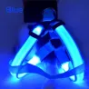 Harnais pour chien - LED - feux clignotants / incandescents - sécurité nocturne