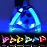 Harnais pour chien - LED - feux clignotants / incandescents - sécurité nocturne
