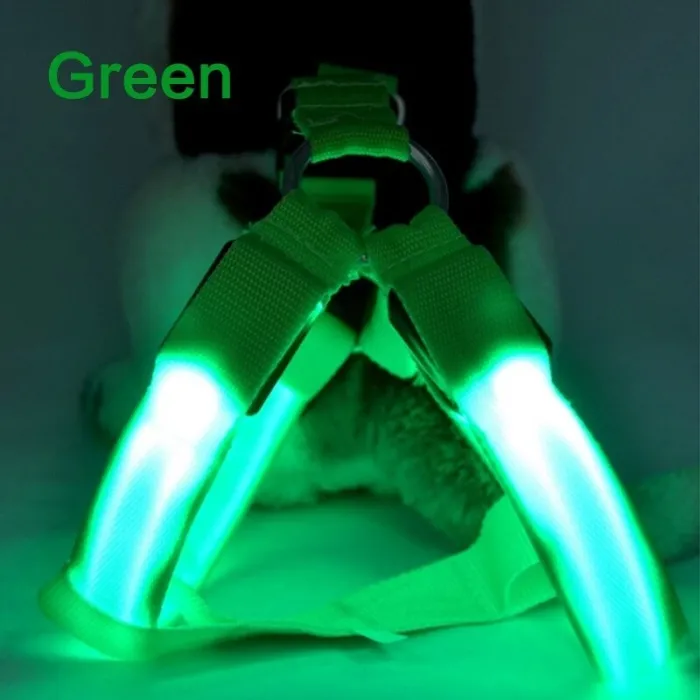 Harnais pour chien - LED - feux clignotants / incandescents - sécurité nocturne