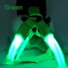 Harnais pour chien - LED - feux clignotants / incandescents - sécurité nocturne