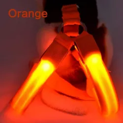 Harnais pour chien - LED - feux clignotants / incandescents - sécurité nocturne