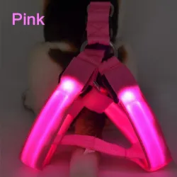 Harnais pour chien - LED - feux clignotants / incandescents - sécurité nocturne
