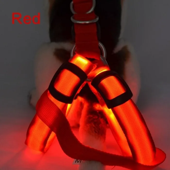 Harnais pour chien - LED - feux clignotants / incandescents - sécurité nocturne