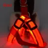 Harnais pour chien - LED - feux clignotants / incandescents - sécurité nocturne