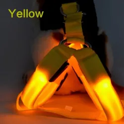 Harnais pour chien - LED - feux clignotants / incandescents - sécurité nocturne