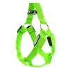 Harnais pour chien - LED - feux clignotants / incandescents - sécurité nocturne