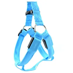 Harnais pour chien - LED - feux clignotants / incandescents - sécurité nocturne
