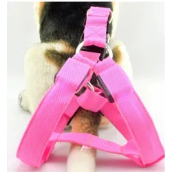 Harnais pour chien - LED - feux clignotants / incandescents - sécurité nocturne