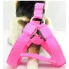 Harnais pour chien - LED - feux clignotants / incandescents - sécurité nocturne