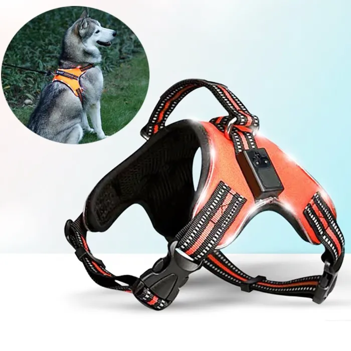 Harnais pour chien - LED - feux clignotants / réfléchissants - marche nocturne de sécurité - étanche