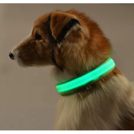 LED dog collar - luminous / flashing - safety night walk