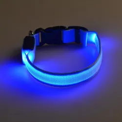 LED dog collar - luminous / flashing - safety night walk