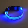 LED dog collar - luminous / flashing - safety night walk