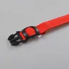 LED dog collar - luminous / flashing - safety night walk