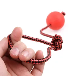 Balle d'entraînement en caoutchouc pour chiens - nettoyage des dents - avec une corde