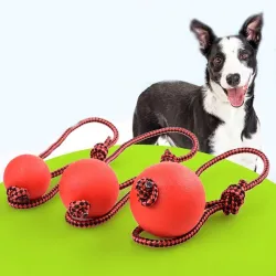 Balle d'entraînement en caoutchouc pour chiens - nettoyage des dents - avec une corde