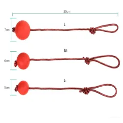 Balle d'entraînement en caoutchouc pour chiens - nettoyage des dents - avec une corde
