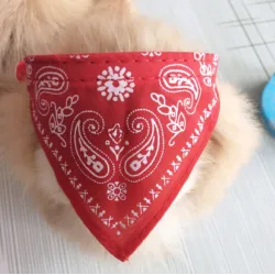 Collier réglable avec écharpe - pour chiens / chats / animaux de compagnie