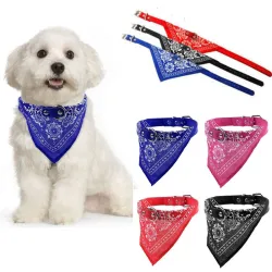 Collier réglable avec écharpe - pour chiens / chats / animaux de compagnie