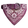 Collier réglable avec écharpe - pour chiens / chats / animaux de compagnie