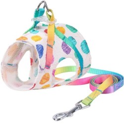 Dog harness with leash / buckle - rainbow dots