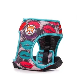 Dog harness - leash with buckle - colorful printing