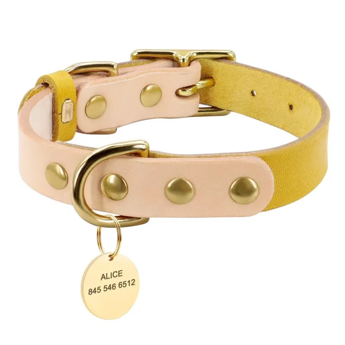 Dog - cat collar pet collar - engraved with name - ID tags - for small animals