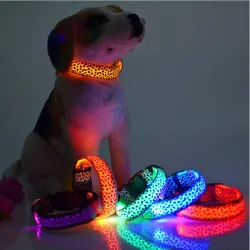 Collier LED pour chien - promenade nocturne de sécurité - imprimé léopard coloré