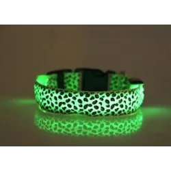 Collier LED pour chien - promenade nocturne de sécurité - imprimé léopard coloré
