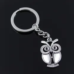 Porte-clés argent vintage - hibou gros yeux