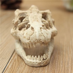 Décoration aquarium - crâne de crocodile