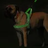 Harnais pour chien en nylon réfléchissant - gilet - ajustement rapide