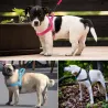 Harnais pour chien en nylon réfléchissant - gilet - ajustement rapide