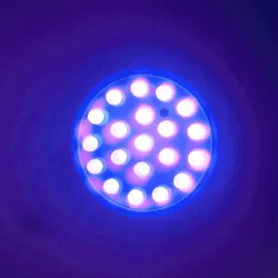 Plant grow bulb - 20 LED - UV light - E27 - 1WGrow Lights