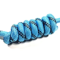 Laisse pour chien en nylon - collier réglable - réfléchissant - poignée rembourrée