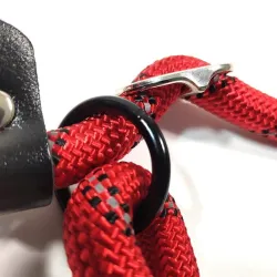 Laisse pour chien en nylon - collier réglable - réfléchissant - poignée rembourrée