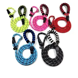 Laisse pour chien en nylon - collier réglable - réfléchissant - poignée rembourrée
