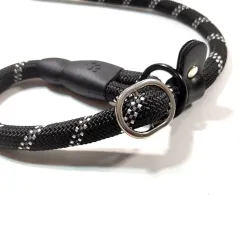 Laisse pour chien en nylon - collier réglable - réfléchissant - poignée rembourrée
