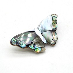 Pearl shell butterfly - broochBrooches