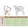 Gilet chaud chiens/chats - veste matelassée avec fermeture éclair