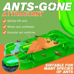 Anti ants bait - killing powder