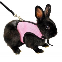 Hamster Rabbit Harness & Leash SetAnimals & Pets